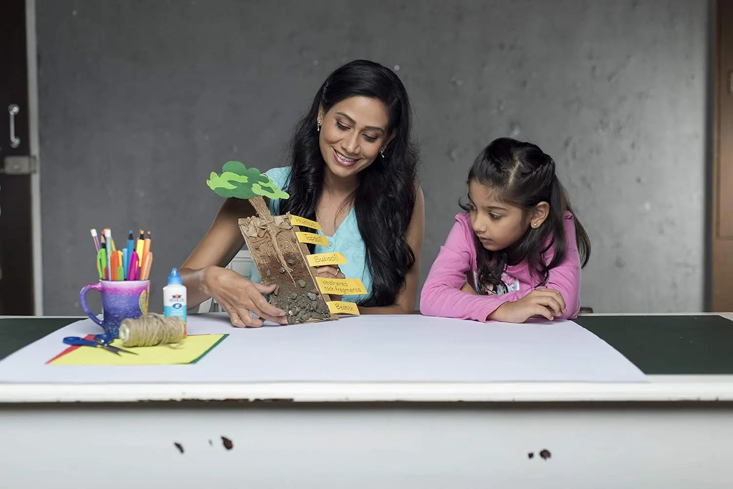 Pidilite Fevicol A Plus Pidilite